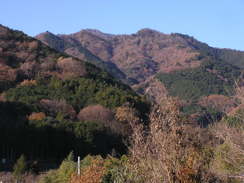 三峰山 -- 大山山頂を望む