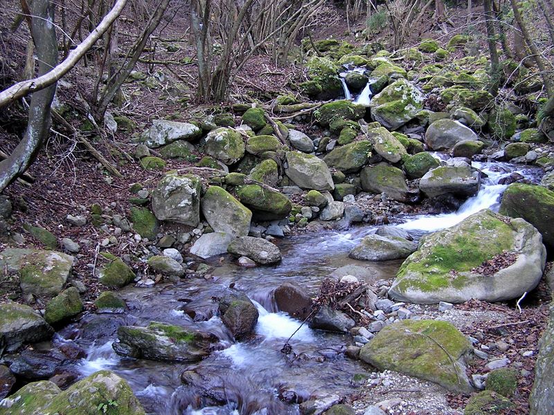 三峰山 -- 沢の流れが冷たそう