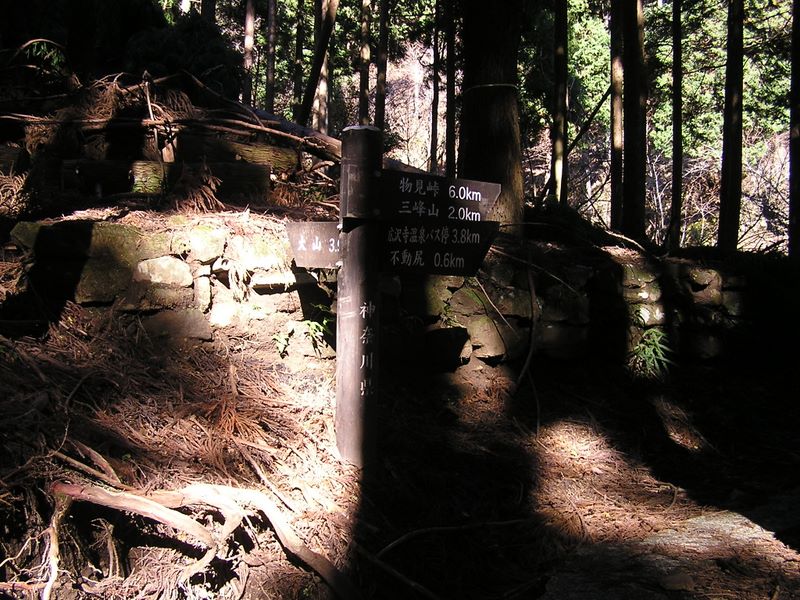 三峰山 -- 不動尻の先の分岐