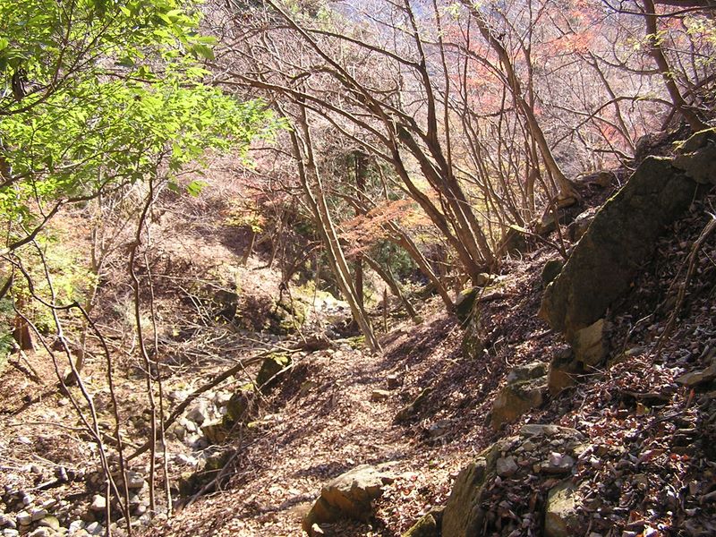三峰山 -- 明るくて気持ちのよい谷で休憩