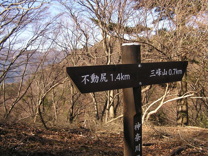 三峰山 -- 尾根上に到達する