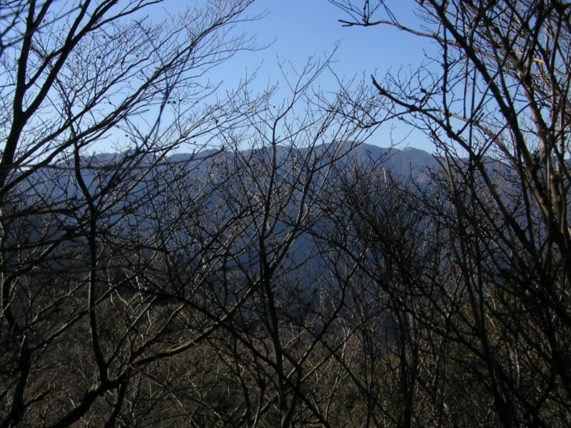 三峰山頂より、枝越しに塔ノ岳、丹沢山、不動ノ峰などを望む
