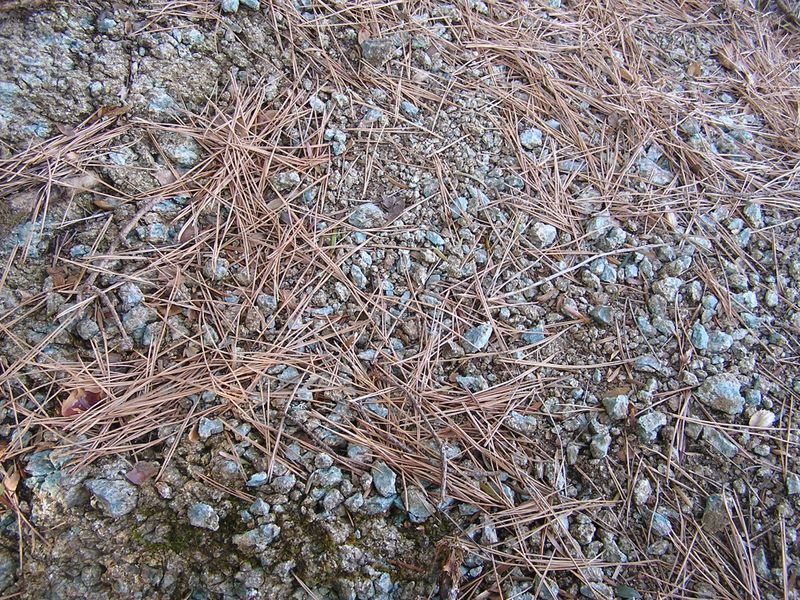 三峰山 -- 青い石