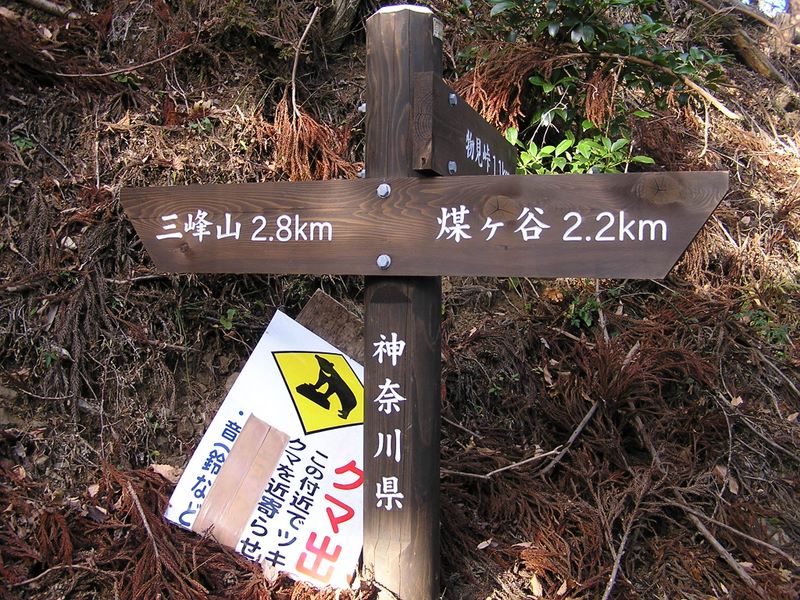 三峰山 -- 物見峠からの道を合わせる