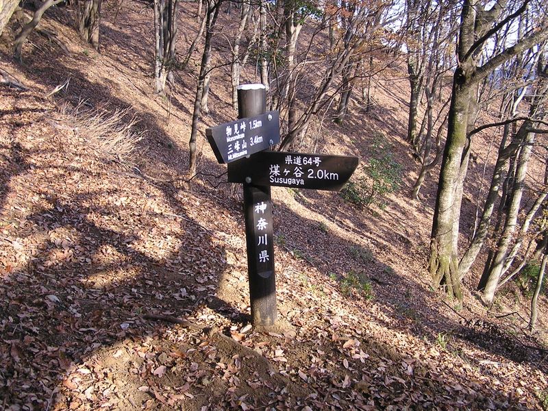 三峰山 -- 煤ヶ谷まであと30分ほど