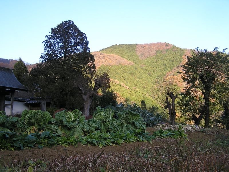 三峰山 -- 正住禅寺と相州アルプス