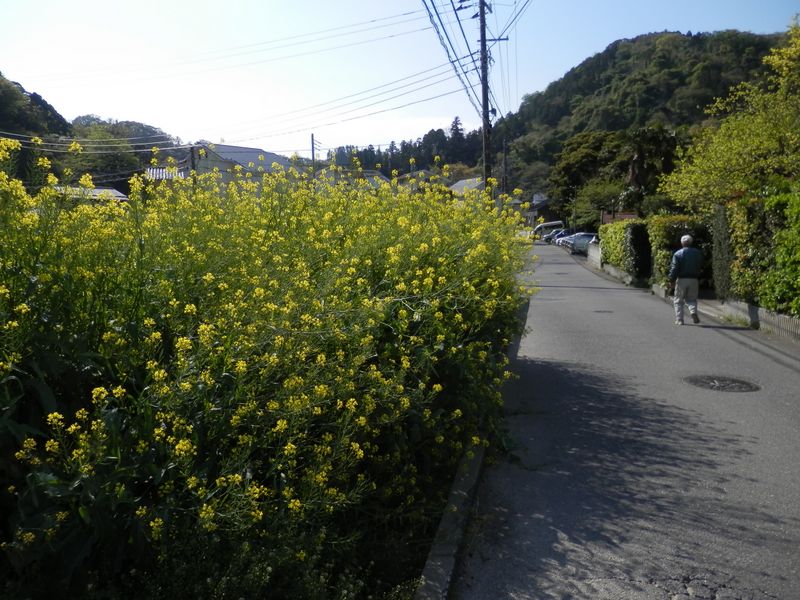 まもなく大山橋