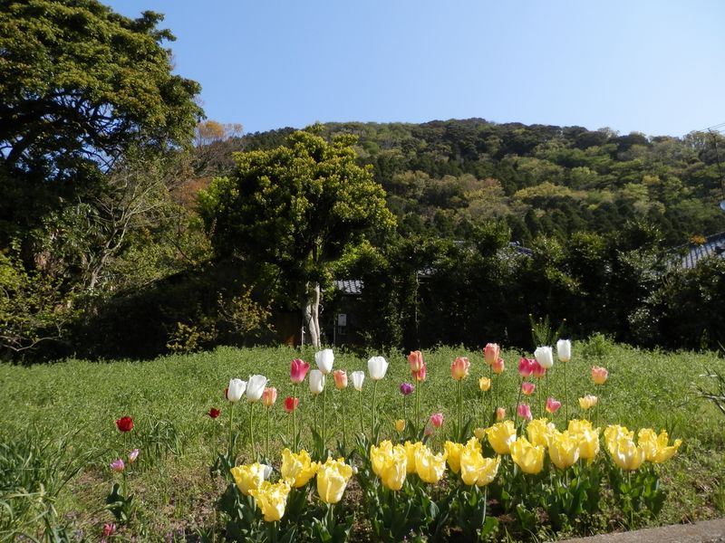 阿部倉山を望む