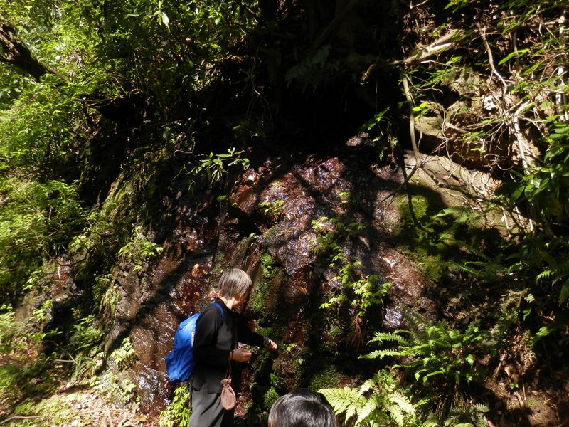 三浦アルプス -- 岩清水