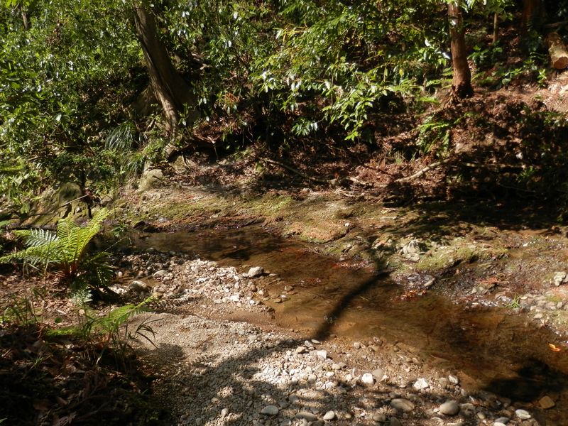 林道終点付近の森戸川
