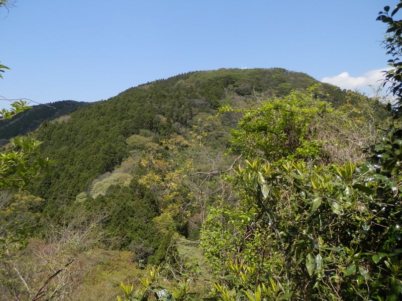 三浦アルプス -- 二子山を望む