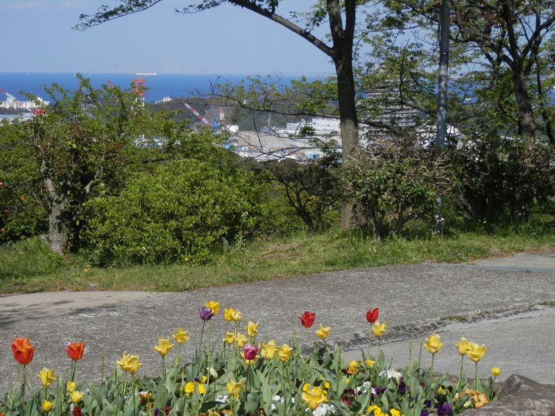 塚山公園からは港がよく見える