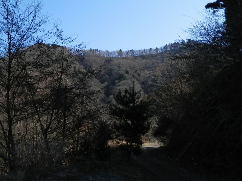 あそこが、これから歩く宮ヶ瀬尾根