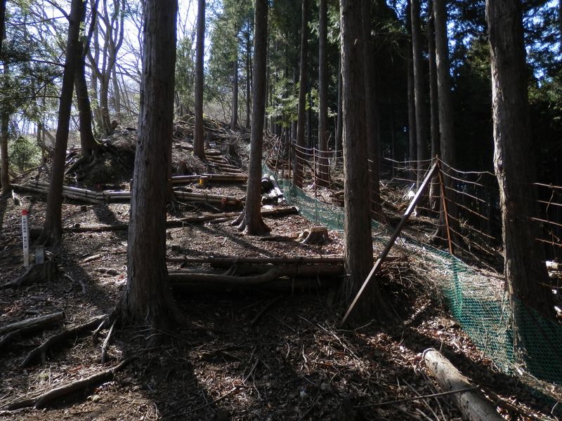 有刺鉄線の鹿柵に沿って登る
