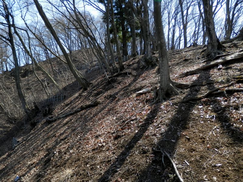 あと少しで617ｍ峰