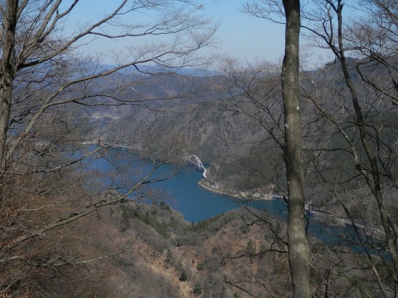 宮ヶ瀬湖の入り江と県道64号を望む