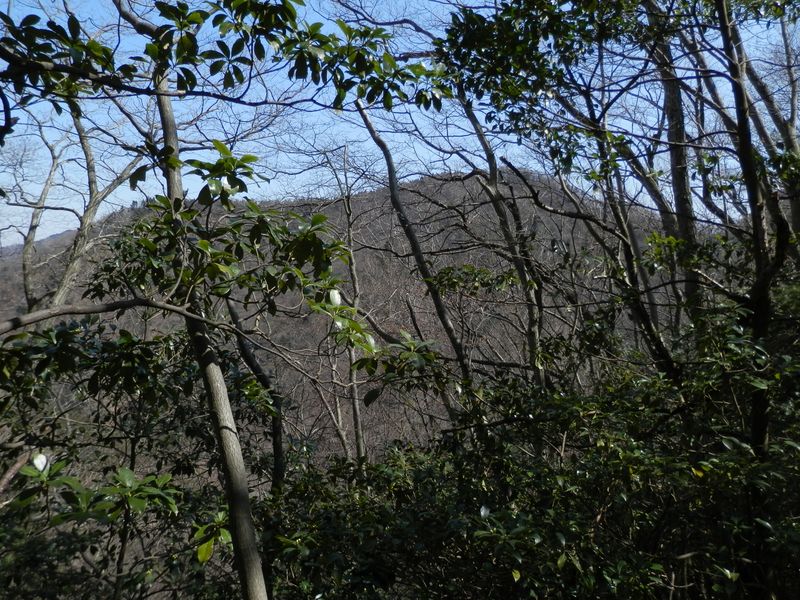 辺室山の、吊り尾根風の山容
