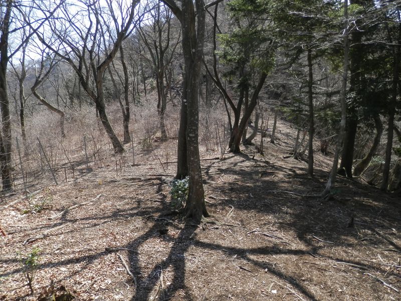 気持ちよさそうな陽だまりの広場