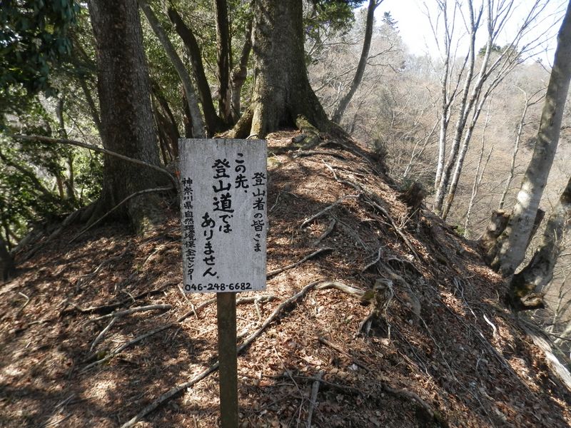 入山の自粛を呼びかける立て札