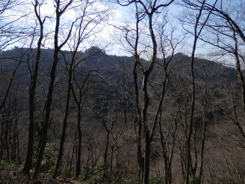 宮ヶ瀬尾根の中央部を望む