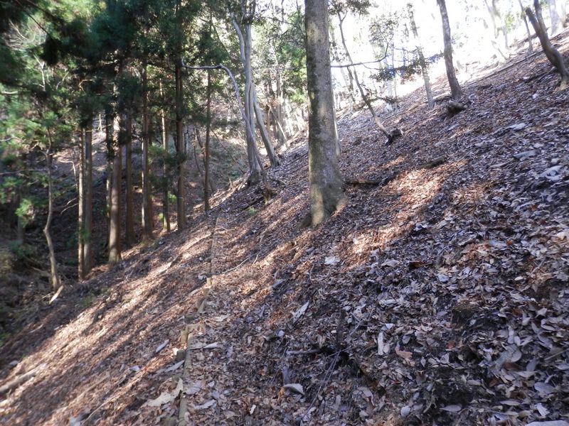 7号橋に戻り、山道を登る