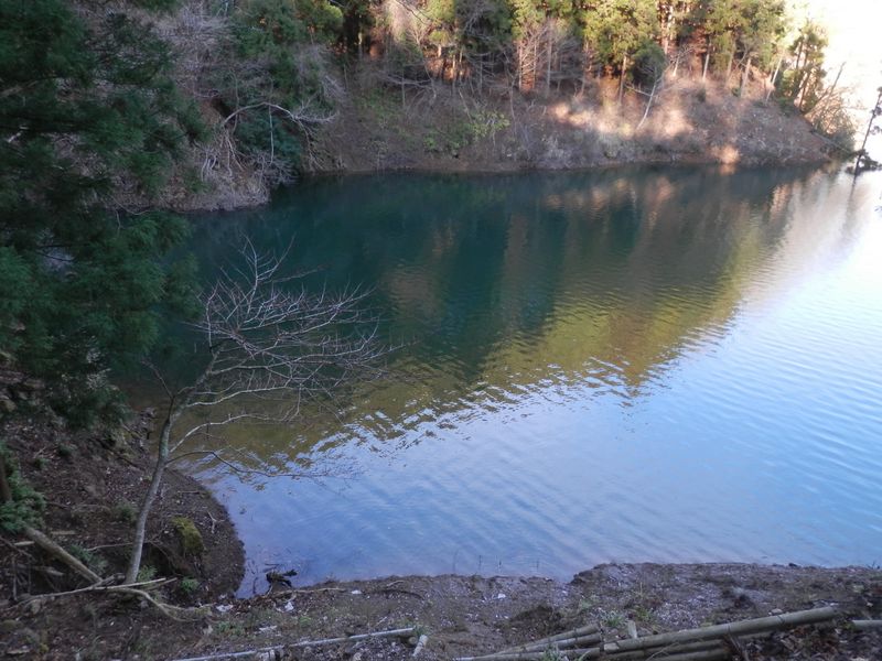 きれいな入り江にやってきた