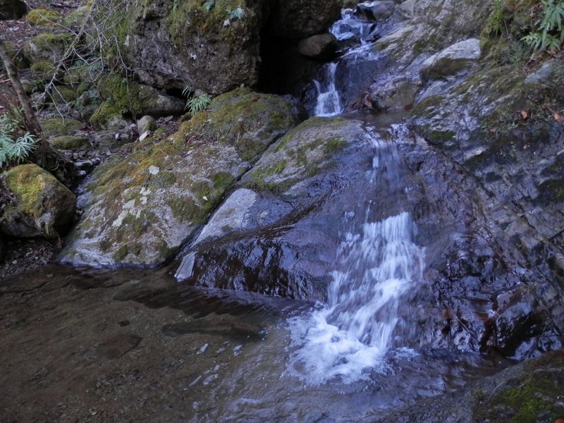 きれいな入り江に流れ込む小沢