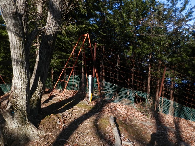 430m峰の尾根 -- 鹿柵の脚立