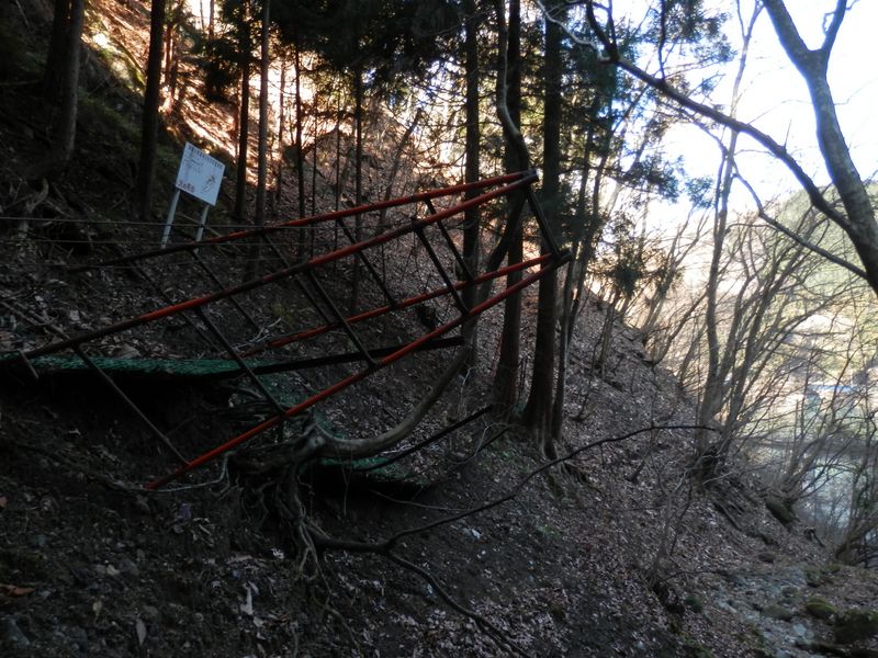 10号橋の沢 -- 左岸に細い踏み跡