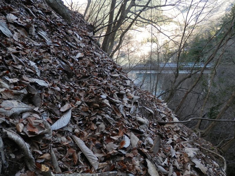 10号橋の沢 -- 左岸の踏み跡はとても薄い