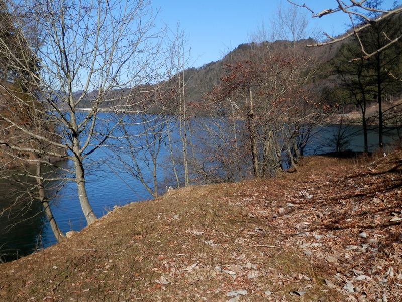 10号橋西の突端に行ってみる