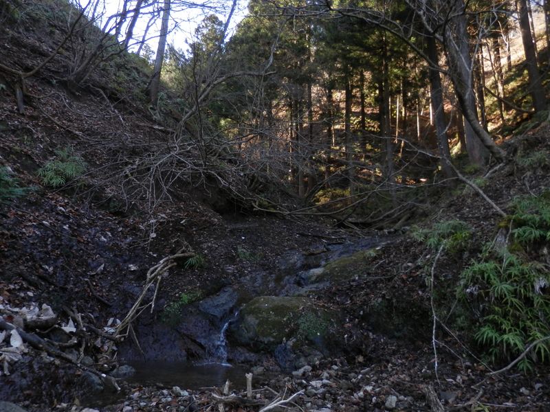 10号橋の入り江の次（北西）の入り江に流れ込む沢