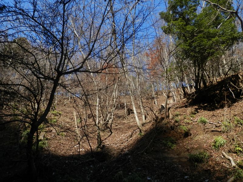 ここから、その左岸尾根に取り付いた