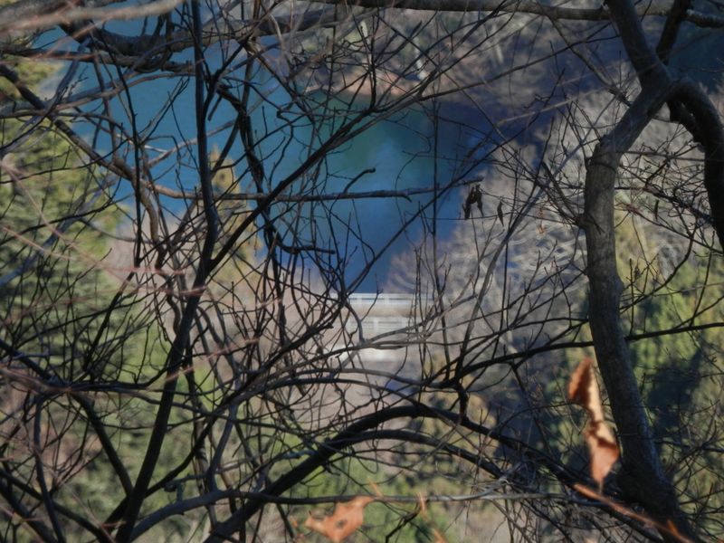 10号橋が見える