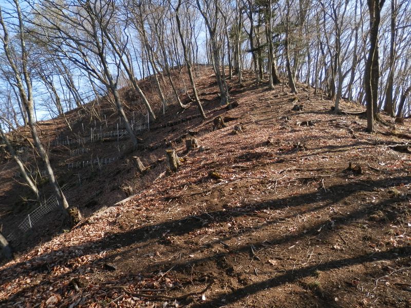 617m直下の偽ピーク