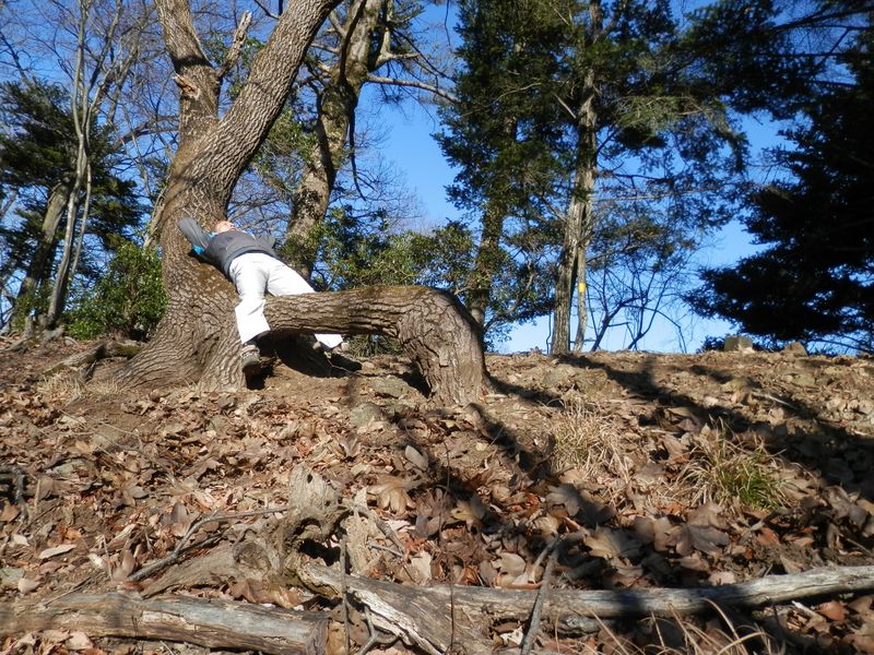 天然のベンチで休憩