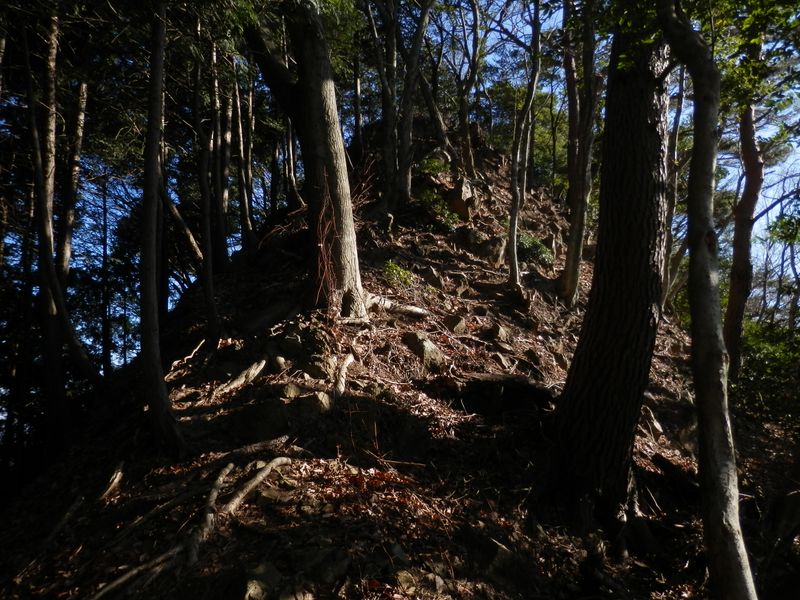 p1104927.jpg (large)