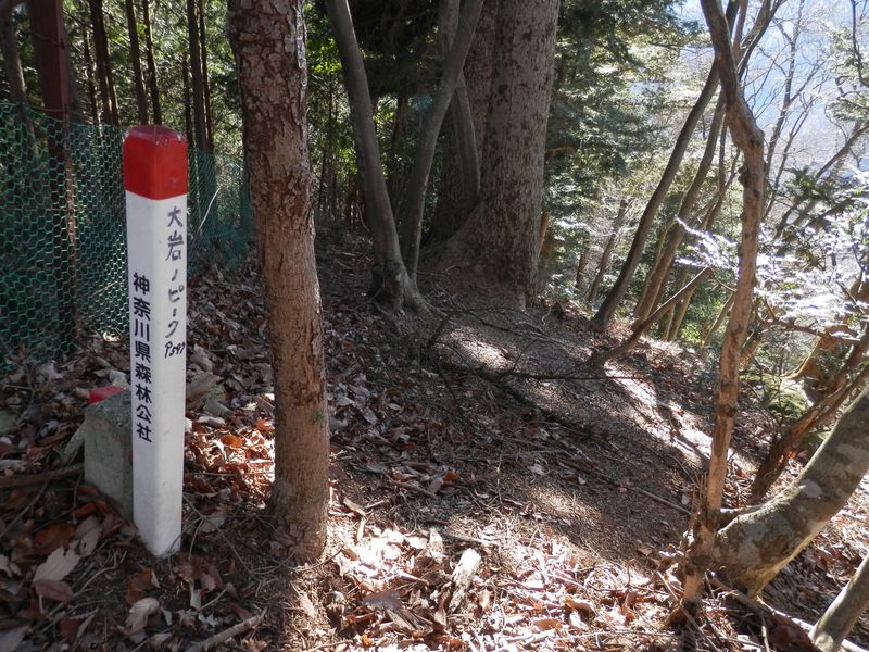 右（南）への屈曲点