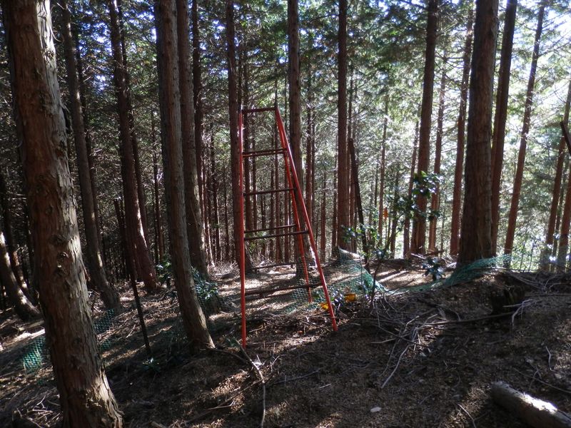 ここは、右下の穴をくぐった