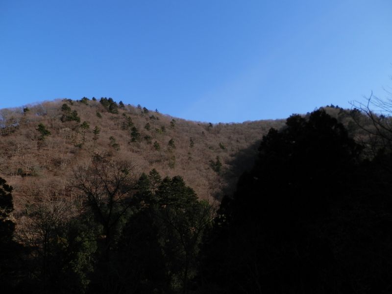 吊り尾根風の辺室山