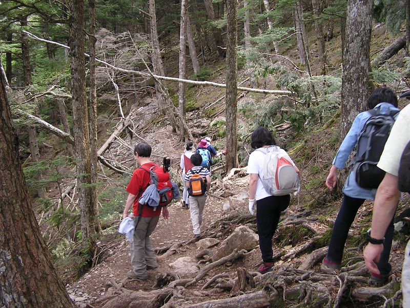 瑞牆山 -- 山林は荒れ模様