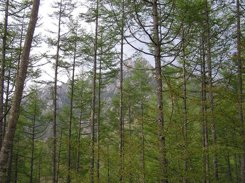 瑞牆山 -- この風景とはここでお別れ