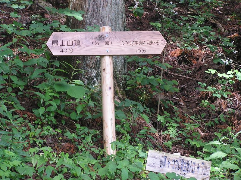 百蔵山・扇山 -- 扇山から鳥沢駅方面に下る