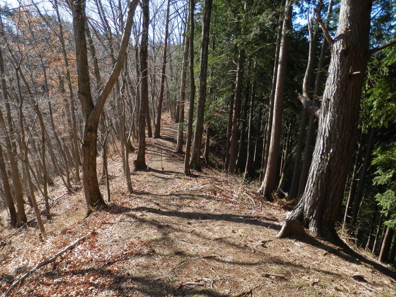 入道丸・ムギチロ -- 西の平野峠に向かう道