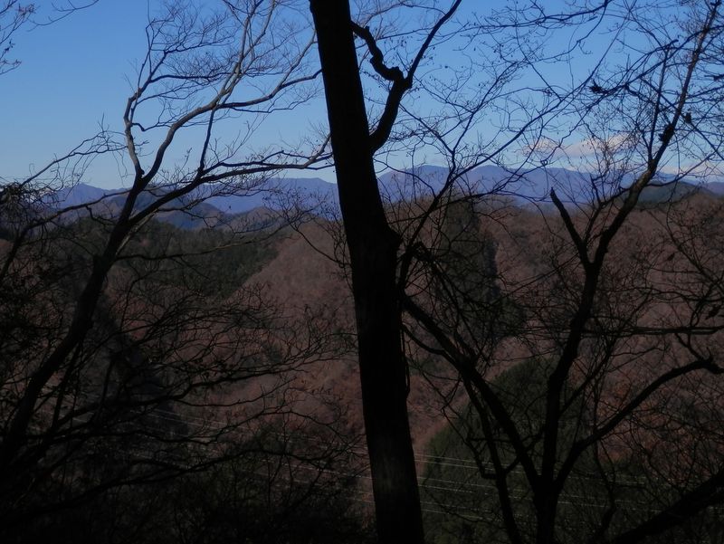 遠方に、大菩薩・小金沢連嶺を望む