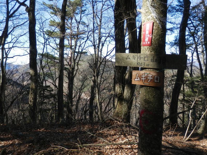 ムギチロ山頂。背後に阿夫利山