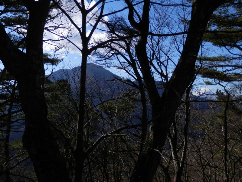 苦しい展望だが、大室山と富士山