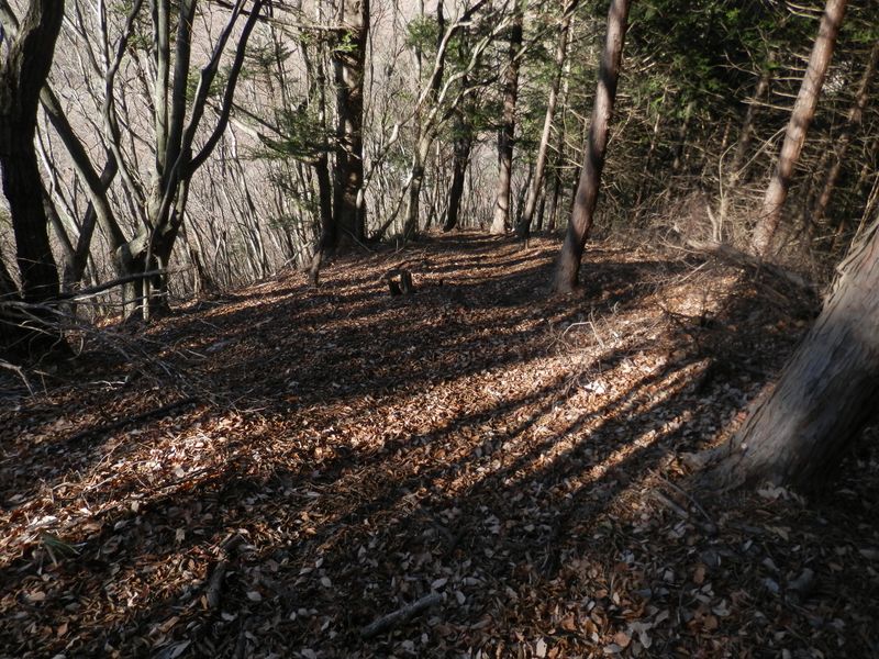 巌道峠に向かって、緊張の急降下