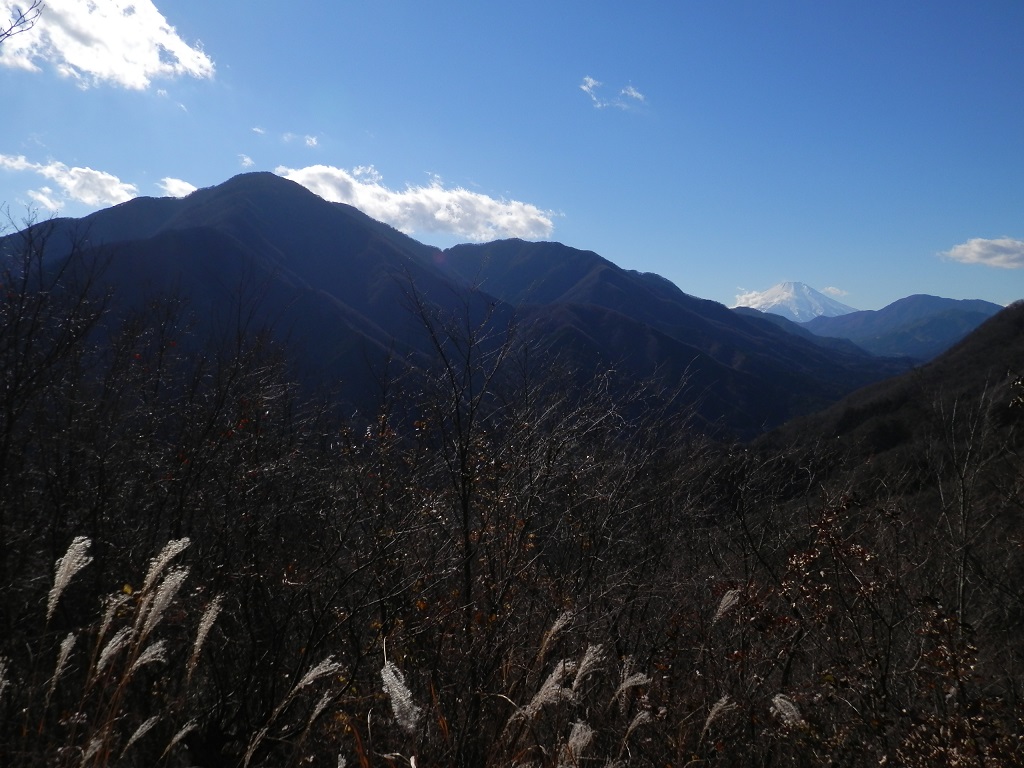 巌道峠より、大室山と富士山を望む