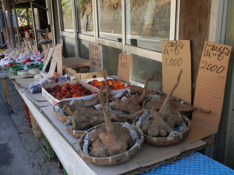 道志村の名産品だろうか？